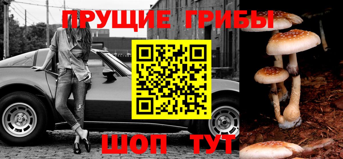 Галлюциногенные грибы мицелий Керчь